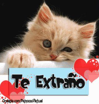 te extra/o
